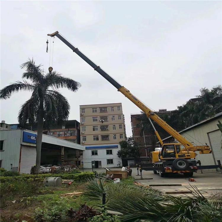 富川吊车吊大树几种方法